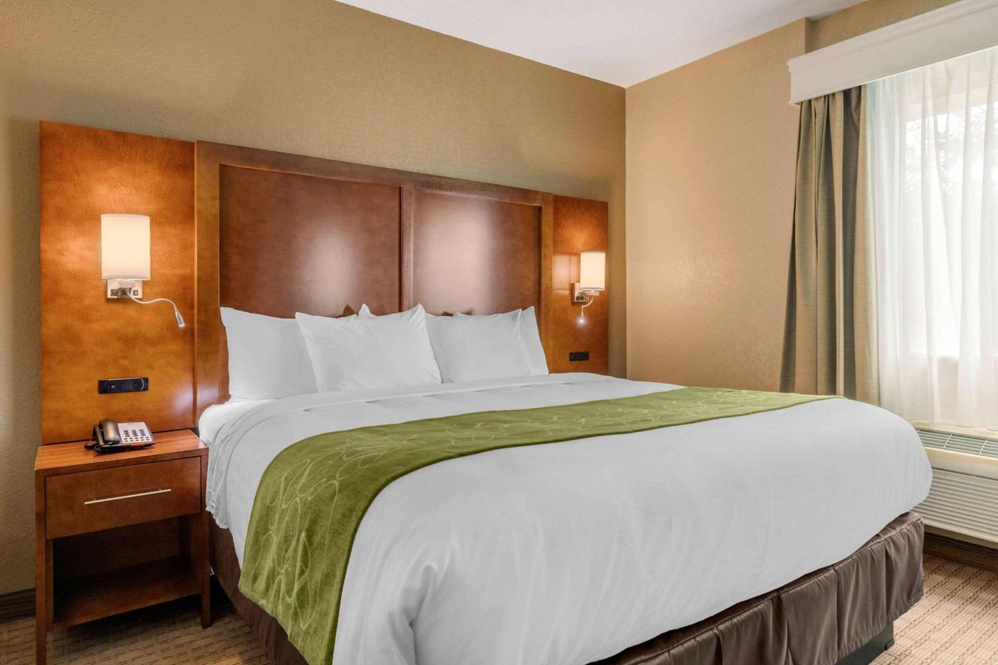 Comfort Suites San Antonio Airport North Buitenkant foto